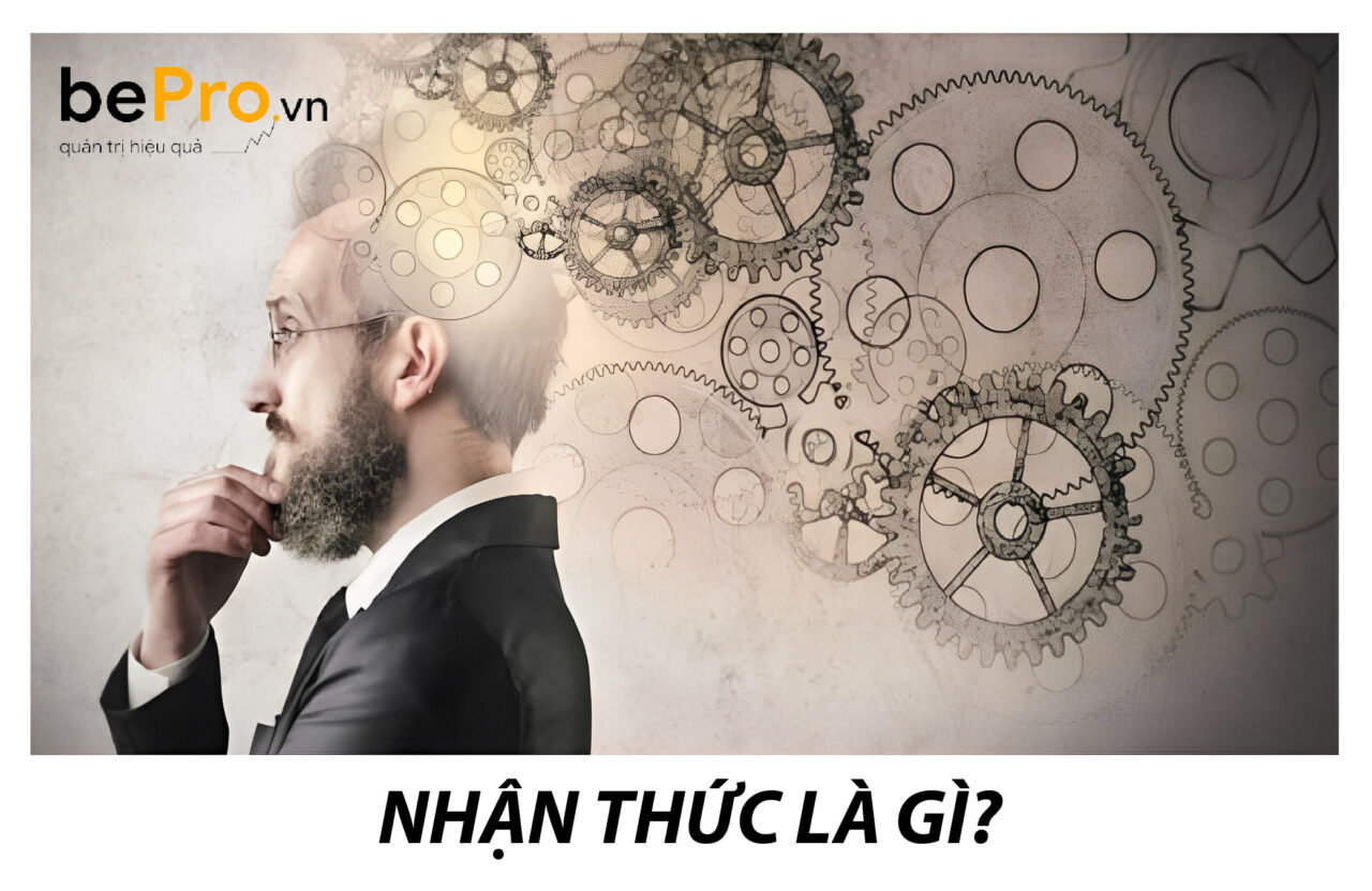 NHẬN THỨC LÀ GÌ BẢN CHẤT VÀ VAI TRÒ CỦA NHẬN THỨC BePro vn