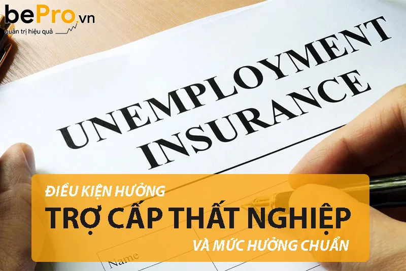 Điều kiện hưởng trợ cấp thất nghiệp và mức hưởng chuẩn 