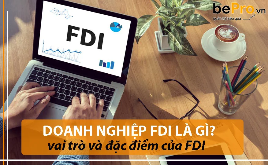 Doanh nghiệp FDI là gì, vai trò và đặc điểm của FPI