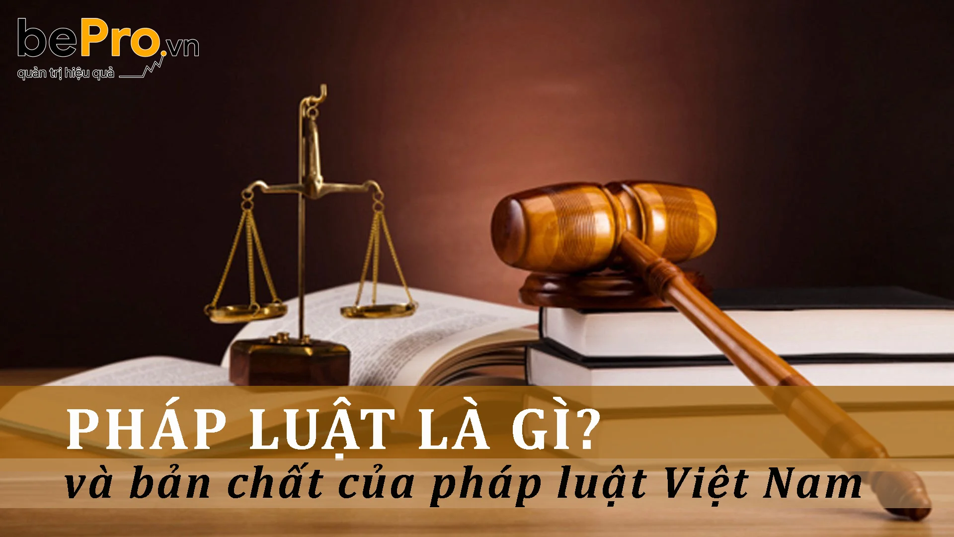 Pháp luật là gì và bản chất của pháp luật Việt Nam