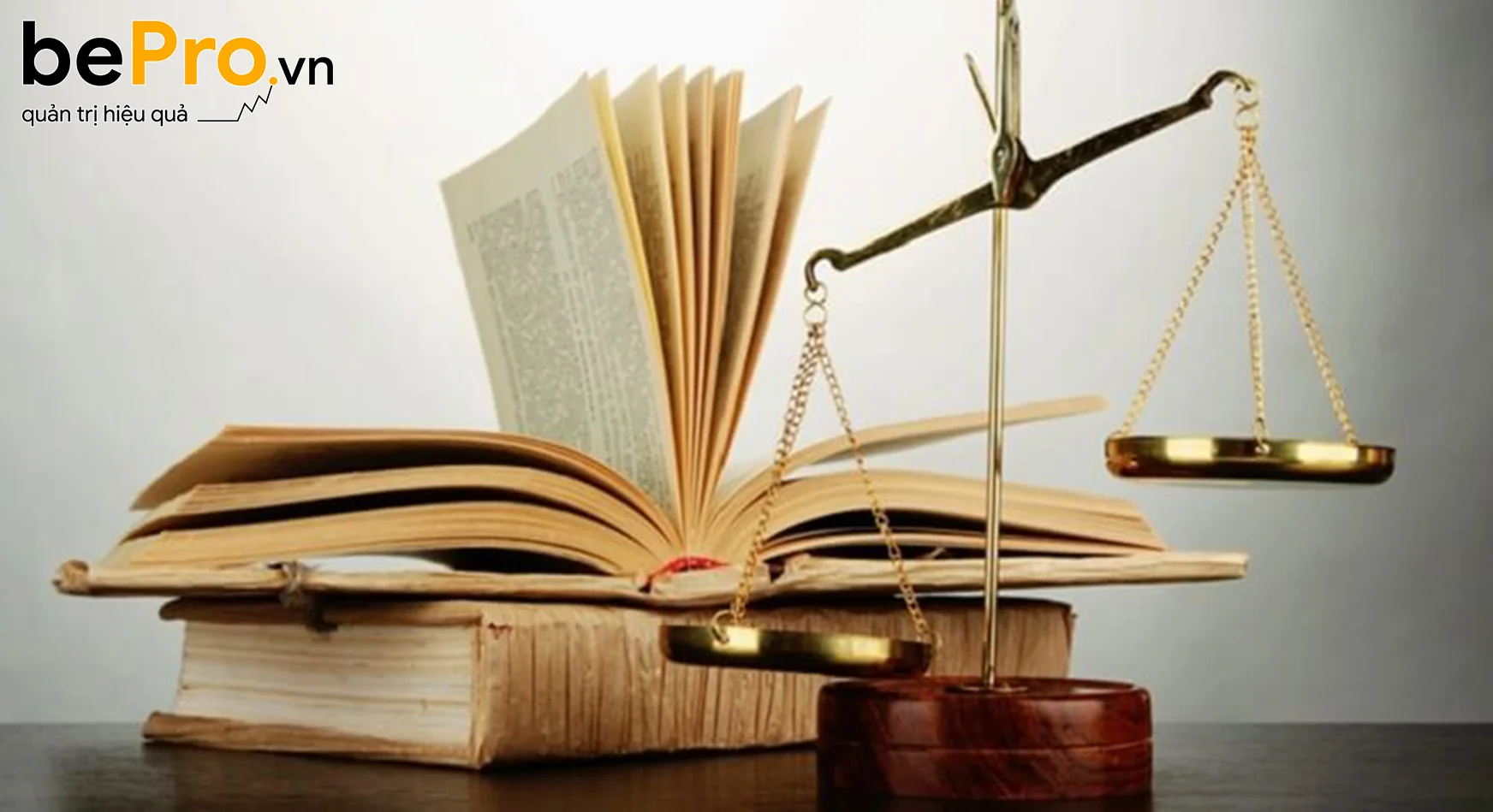 Trách nhiệm pháp lý và phân loại trách nhiệm pháp lý