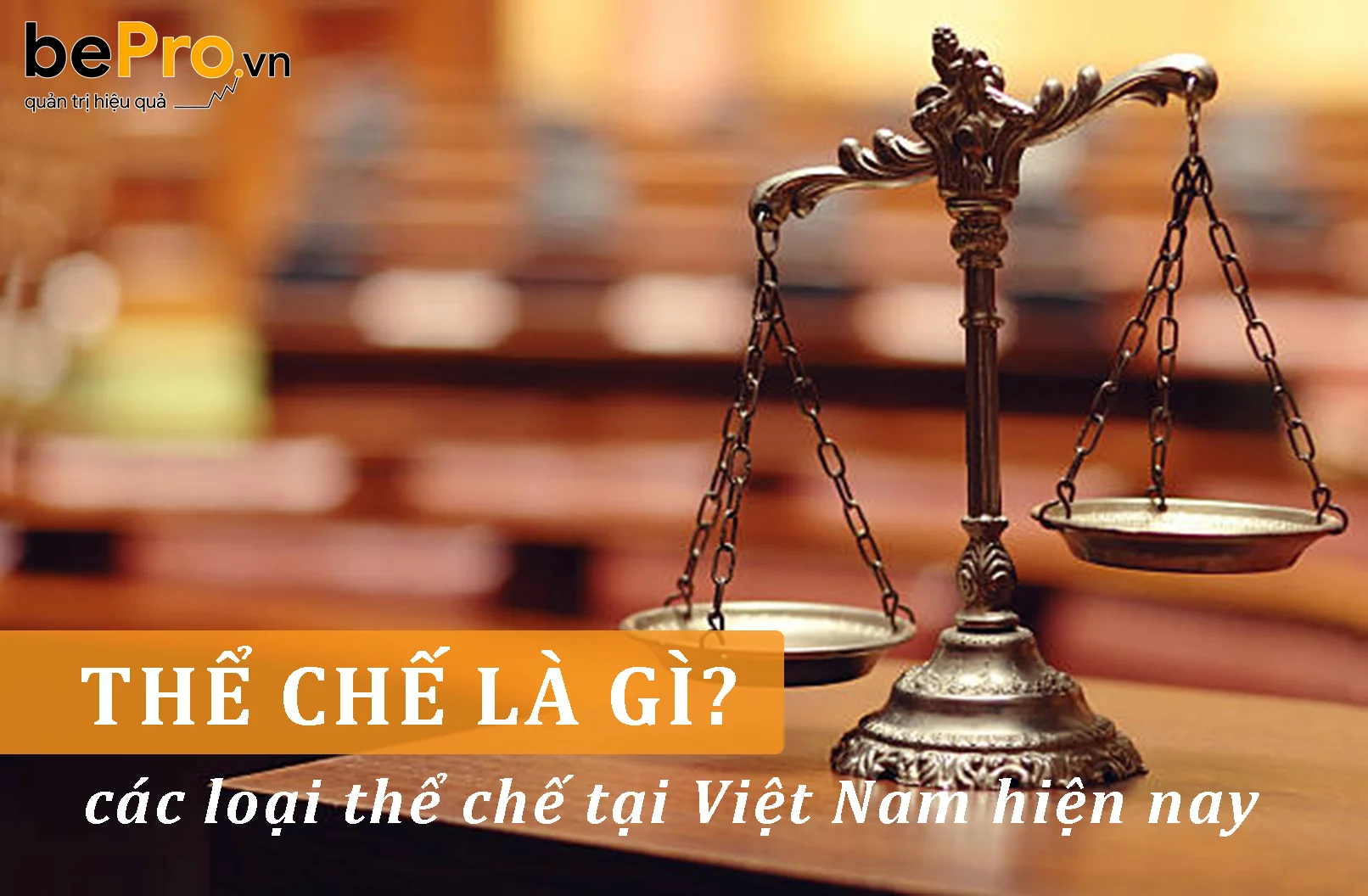 Thể chế là gì và các loại thể chế tại Việt Nam hiện nay