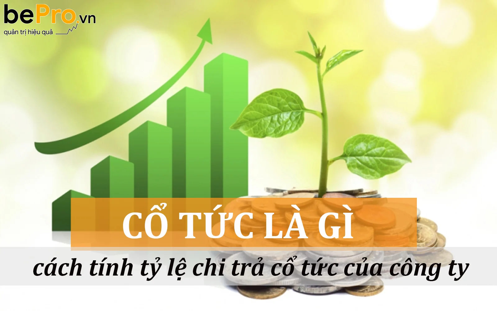 Cổ tức: Hãy cùng chúng tôi khám phá những cổ tức đầy tiềm năng. Hình ảnh được thiết kế tuyệt đẹp cùng thông tin thú vị sẽ khiến bạn không thể bỏ qua.