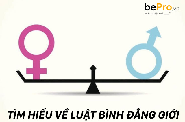 LUẬT BÌNH ĐẲNG GIỚI VÀ NHỮNG THÔNG TIN LIÊN QUAN